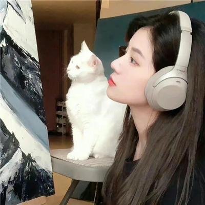 七小汪警犬队